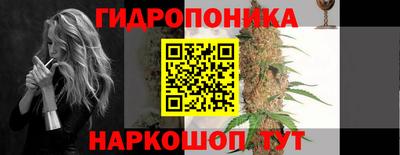индика Тверь