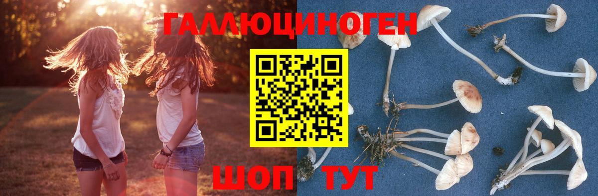 Псилоцибиновые грибы GOLDEN TEACHER  Вход с VPN  Москва 